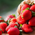 reisinger-frischmarkt-erdbeeren
