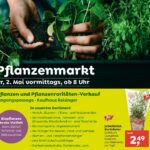 KW17_Pflanzenmarkt